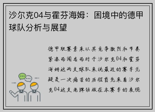 沙尔克04与霍芬海姆：困境中的德甲球队分析与展望