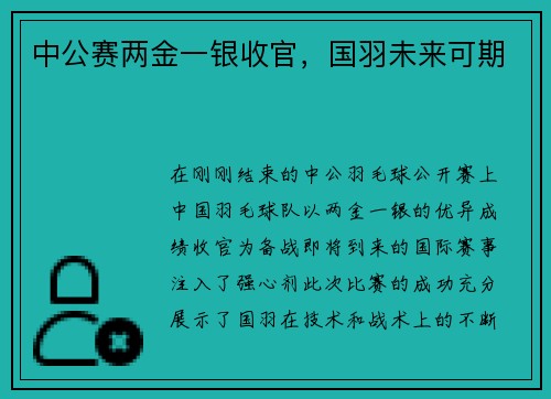 中公赛两金一银收官，国羽未来可期