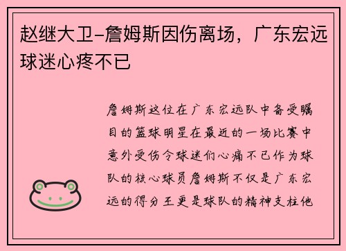 赵继大卫-詹姆斯因伤离场，广东宏远球迷心疼不已